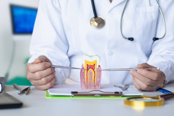 Best Broken or Cracked Tooth Emergency Dentist in Forreston, IL